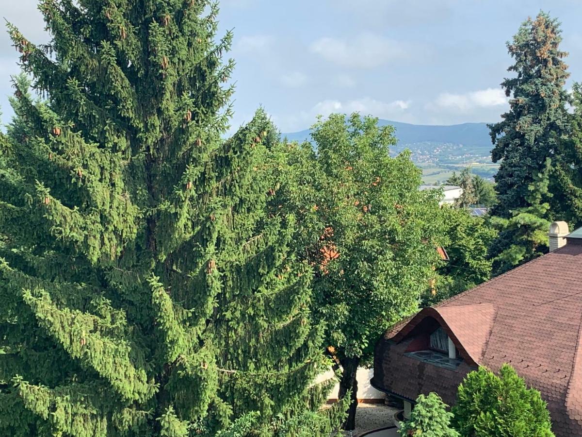 Maharaja Mountain Palace With Free Privat Parking And Garden Budapeszt Zewnętrze zdjęcie